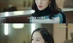 娱乐圈吃瓜小说苏棠棠,娱乐圈的甜蜜瓜田